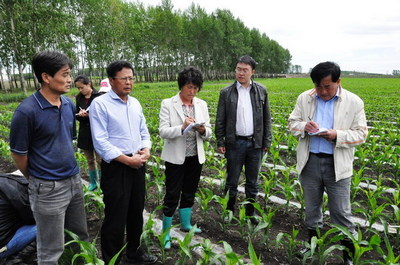 八五四:用科技推进玉米高产创建_中国农机推广网
